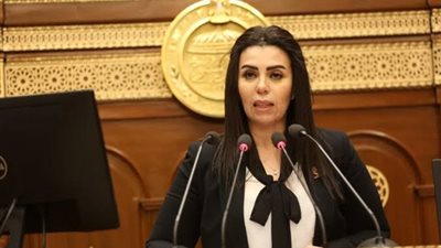 النائبة سها سعيد تناقش مقترح مصحات علاج الإدمان أمام الشيوخ بعد عدة أشهر من إطلاقه بالتنسيقية