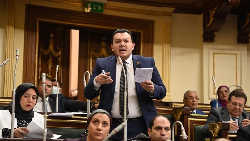 النائب أحمد مقلد