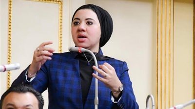 النائبة أميرة صابر: الحوار الوطني يحتاج للاتفاق وإيجاد مساحات مشتركة وطنية