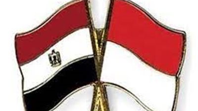 ياسمين فؤاد تشارك باجتماع وزراء بيئة دول مجموعة العشرين في إندونيسيا 