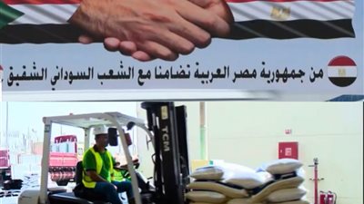 الرئيس السيسى يوجه بـ تسيير جسر بري من مساعدات إنسانية وطبية للأشقاء في السودان