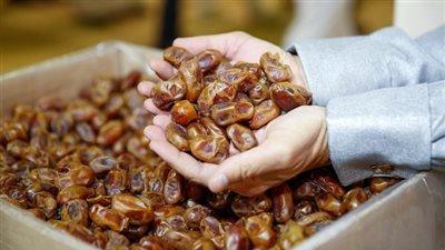 أسوان تستضيف مهرجان التمور الدولي بمشاركة أكثر من 100 عارض