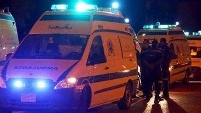 حادث مفجع يتسبب فى مصرع طفلة و إصابة 7 أشخاص بطنطا        