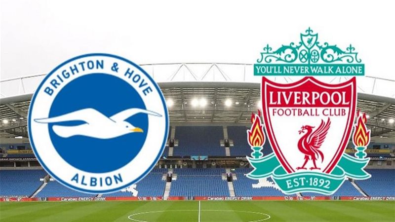مباراة ليفربول وبرايتون