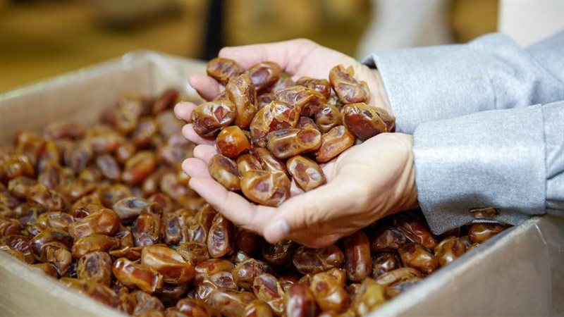 مهرجان التمور الدولى