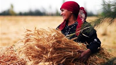 عماد الحياة و 43% من القوى العاملة الزراعية.. اليوم العالمي للمرأة الريفية