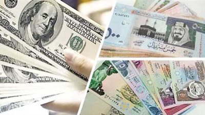 سعر الدولار بـ23.9 جنيه..أسعار العملات اليوم الأحد 30 أكتوبر 