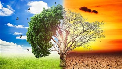 ينطلق اليوم.. أجندة فعاليات مؤتمر المناخ COP27