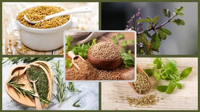 أفضل الأعشاب الطبيعية للشعور بالدفء في الشتاء ومكافحة الإنفلونزا