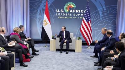 الرئيس السيسي يلتقي وزير الخارجية الأمريكي لدعم التعاون بين البلدين