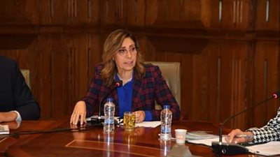 الثقافة: تطوير الاستراتيجية الثقافية بما يتماشى مع رؤية مصر 2030 