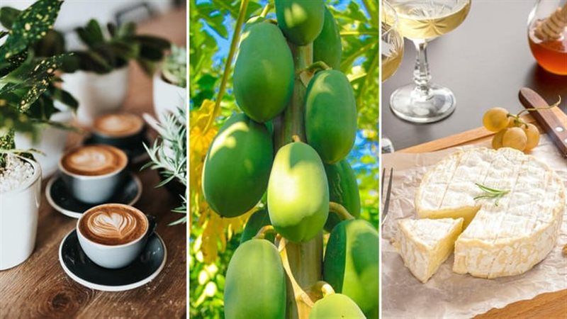 أطعمة مضرة الحوامل