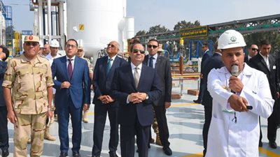 رئيس النصر للكيماويات: 