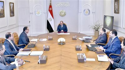  السيسي يتابع معدلات الإفراج عن البضائع من الموانئ على مستوى الجمهورية