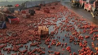 مصرع سائق إثر انقلاب سيارة محملة بالطماطم على طريق جمصة