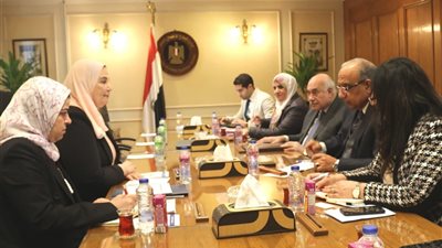 وزيرا قطاع الأعمال العام والتضامن الاجتماعي يبحثان تعزيز التعاون في إقامة مشروعات صغيرة