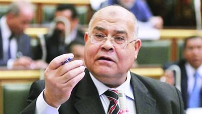 الشهابي: توجيهات الرئيس للحكومة ستزيد من اهتمام الفلاح بإنتاج القمح