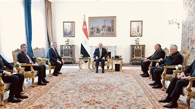 الرئيس السيسي يستقبل وزير خارجية إيطاليا بحضور سامح شكري