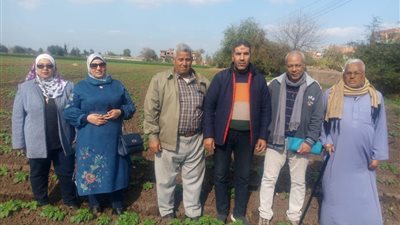 الزراعة تتابع أعمال الصوب الزراعية وزراعات البطاطس بالغربية 