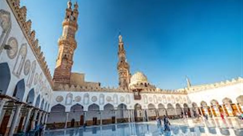 مسابقة نحلة الأزهر