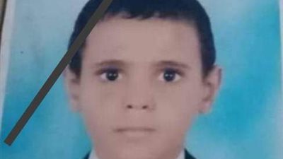 تفاصيل العثور على طفل تأكل «الكلاب» جسده بجوار المقابر في مغاغة بالمنيا