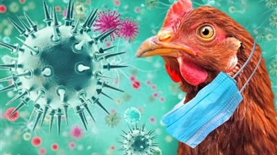إنفلونزا الطيور تعود وتهدد العالم.. كمبوديا تعلن وفاة أول حالة بالمتحور الجديد