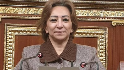 نائبة المصري الديمقراطي تشيد بـ قرارات الرئيس السيسي خلال تفقده قرية المعصرة