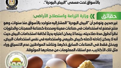 الحكومة تنفي شائعة طرح البيض البودرة في الأسواق