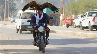 «هيأذينا كلنا بالجهل ده».. أحمد العوضي يتعرض للهجوم والسبب صادم