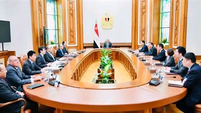 السيسي يلتقي رئيس مجموعة الصين الدولية للطاقة
