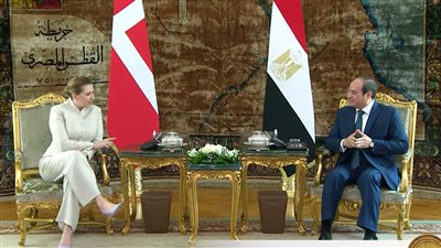 الرئيس السيسي : «مصر مش هتكون معبر للهجرة غير الشرعية إلى أوروبا»