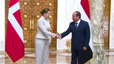 للقضاء على  الهجرة غير الشرعية.. الرئيس السيسي يؤكد ضرورة دعم التنمية في إفريقيا