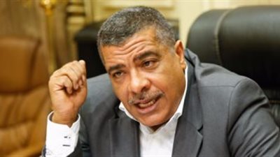 رئيس لجنة الصناعة في مجلس النواب يشيد بقرار وثيقة ملكية الدولة