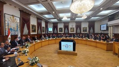 محافظ القاهرة يبحث طلبات بعض نواب مجلس الشيوخ وتنسيقية شباب الاحزاب 
