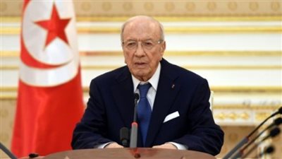 الرئيس التونسي يبحث مع أبوالغيط تسوية أزمات دول المنطقة