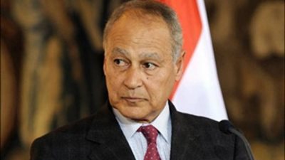 أبو الغيط: مقابلة السبسي تعبر عن دعم تونس للجامعة العربية