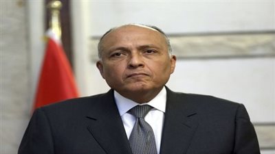 «شكري»: المنطقة تعج بالأزمات الحادة 