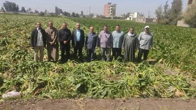 زراعة الشرقية تنظم يوم حقلي لمزارعي قرية البوها في كفر صفر