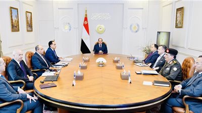 الرئيس السيسي يتابع مشروعات الطيران المدني والسياحة