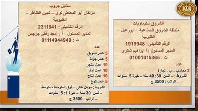القوى العاملة تعلن فرص عمل في القليوبية .. منها لذوي همم