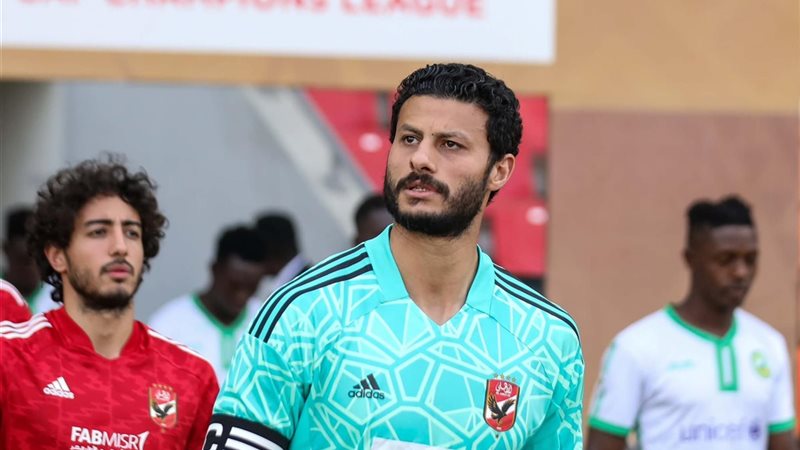 محمد الشناوي 