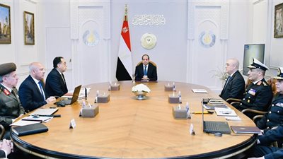 الرئيس السيسي يتابع عمليات إنشاء ميناء جرجوب البحري