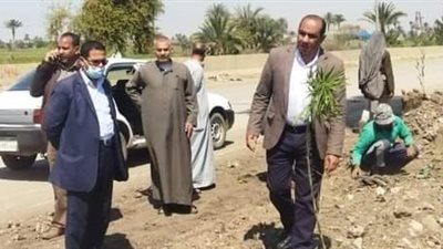 رئيس مدينة الواسطى في بني سويف يشرف على أعمال النظافة والتجميل 