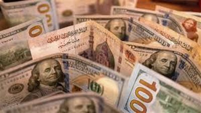 بعد قرارات البنك المركزي .. خبير اقتصادي يتوقع صدور شهادات استثمار جديدة بفائدة 20%
