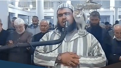 أول تعليق من الشيخ وليد مهساس بعد تصدر فيديو القطة الترند