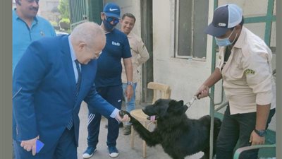 بعد تصدر فيديو الإمام والقطة الترند.. رئيس جامعة القاهرة يظهر مع كلب