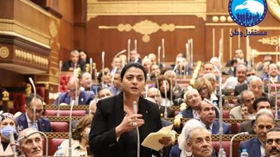 هند جوزيف : إعمار سيناء يمثل تحولاً نوعياً في خطط التنمية المصرية