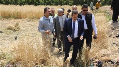 محافظ المنوفية يتابع بدء موسم حصاد القمح بأحد الحقول الزراعية
