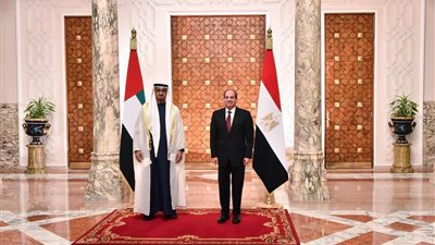 السيسي خلال لقاءه برئيس الإمارات: مصر تعتز بالعلاقات التى تجمع الدولتين