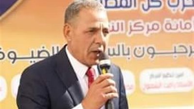 المنظمة المصرية الدولية لحقوق الإنسان تبعث رسالة شكر لأمين حماة الوطن بالنوبارية